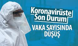 Vaka Sayısında Düşüş Başladı