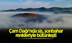 Çam Dağı'nda Sis Sonbahar Renkleriyle Bütünleşti