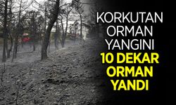 Korkutan Orman Yangını 10 Dekar Alan Yandı