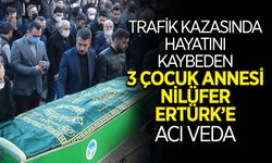 Nilüfer Ertürk'e Acı Veda