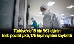 Türkiye'de 176 Kişi Hayatını Kaybetti