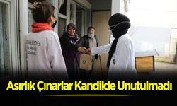 Asırlık Çınarlar Kandilde Unutulmadı