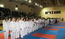 Sakarya U21 Yaş Altı Türkiye Karate Şampiyonası İl Seçmeleri Şampiyonası Sona Erdi