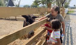 Arifiye Gölya Tabiat Parkı Hayvanat Bahçesi Hizmete Giriyor