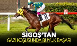 Sakaryalı Onur Dilbaz'ın Atı Gazi Koşusunda 3. Oldu