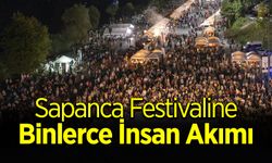 Sapanca Festivaline İnsan Akımı