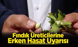 Fındık Üreticilerine Erken Hasat Uyarısı