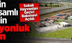 Sokak Hayvanları Geçici Bakımevi Tedavi ve Rehabilitasyon Merkezi hayırlı olsun
