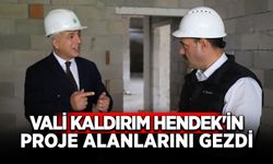 Vali Kaldırım Hendek'te Proje Alanlarını Yerinde İnceledi