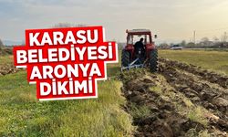 Karasu Belediyesi Aronya Dikimine Başladı