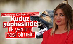 Kuduz Şüphesinde İlk Yardım Nasıl Olmalı?