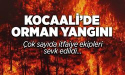 Kocaali'de Orman Yangını!