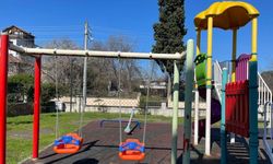 Sapanca Belediyesi Parkların Bakımını Yapıyor