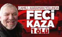 Camili Karaman Yolunda Feci Kaza