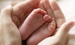 Türkiye ve İllere göre Doğum İstatistikleri