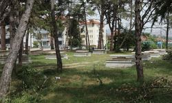 Çamlık Park’ta Çalışmalar Devam Ediyor