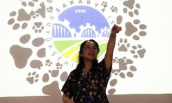 Kuduz Tehlikesinden Uzaklaştıracak Altın Kurallar