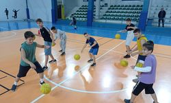 Sapanca Belediyesi Spor Kulübü Basketbol Takımı Kuruldu