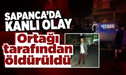 Sapanca'da Kanlı Olay! Ortağını Öldürdü!