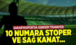 Sakaryaspor'da Transfer Gündemi 10 Numara, Stoper ve Sağ Kanat