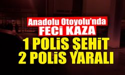Anadolu Otoyolu'nda Feci Kaza! 1 Polis Şehit 2 Polis Yaralı...