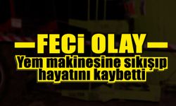 Feci Olay! Yem Makinesine Sıkıştı Hayatını Kaybetti