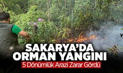 Sakarya’da Orman Yangını! 5 Dönümlük Arazi Zarar Gördü