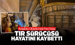 Anadolu Otoyolu'nda Feci Kaza! 1 Ölü