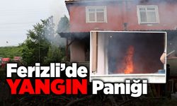 Ferizli'de Yangın Paniği! Müstakil Ev Yandı