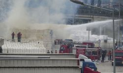 Sakarya'da Kağıt Fabrikasının Bahçesinde Yangın