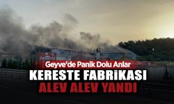 Geyve'de Panik Dolu Anlar! Kereste Fabrikası...