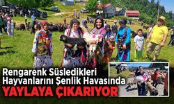 Rengarenk Süsledikleri Hayvanlarını Şenlik Havasında Yaylaya Çıkarıyor