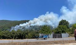 Sakarya'da Yangın: 10 Hektarlık Alan Zarar Gördü