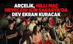 Arçelik Milli Maç Heyecanı için Sakarya'da Dev Ekran Kuracak