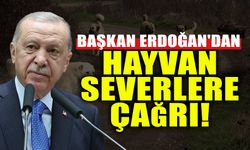 Başkan Erdoğan'dan Hayvanseverlere Çağrı!
