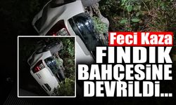 Feci Kaza! Fındık Bahçesine Devrildi...