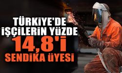 Türkiye'de İşçilerin Yüzde 14,8'i Sendika Üyesi