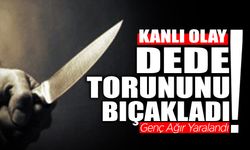 Feci Olay! Dede Torununu Bıçakladı...