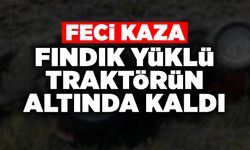 Fındık Yüklü Traktörün Altında Kaldı