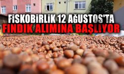 Fiskobirlik 12 Ağustos'ta Fındık Alımına Başlıyor