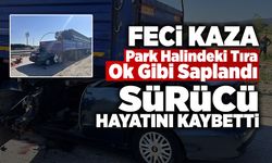 Park Halindeki Tıra Ok Gibi Saplandı