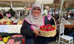 Pamukova'da Çilek Festivali Düzenlendi