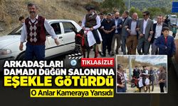 Arkadaşları Damadı Düğün Salonuna Eşekle Götürdü