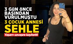 3 Çocuk Annesi Sehle Gündüz Yaşam Savaşını Kaybetti