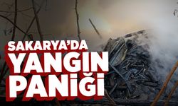 Sakarya'da Yangın Paniği!