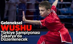 Geleneksel Wushu Türkiye Şampiyonası Sakarya'da Düzenlenecek