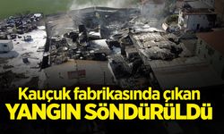 Sakarya'da Kauçuk Fabrikasında Çıkan Yangın Söndürüldü