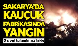 Sakarya'da Kauçuk Fabrikasında Yangın!