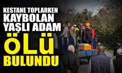 Kestane Toplarken Kaybolan Yaşlı Adam...