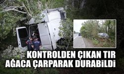 Kontrolden Çıkan Tır Ağaca Çarparak Durabildi